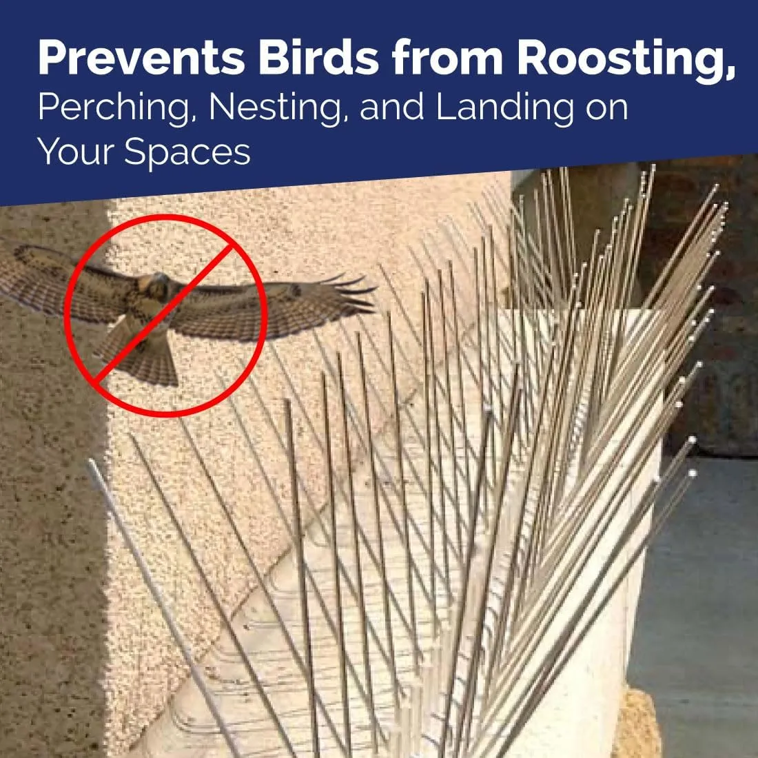 Bird-X Bird Spikes, Stainless Steel Spikes to Keep Birds Away, Easy to Install, Covers 10 Linear Feet Area, 1' L x 6" W, 10 Strips