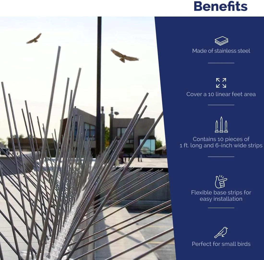 Bird-X Bird Spikes, Stainless Steel Spikes to Keep Birds Away, Easy to Install, Covers 10 Linear Feet Area, 1' L x 6" W, 10 Strips