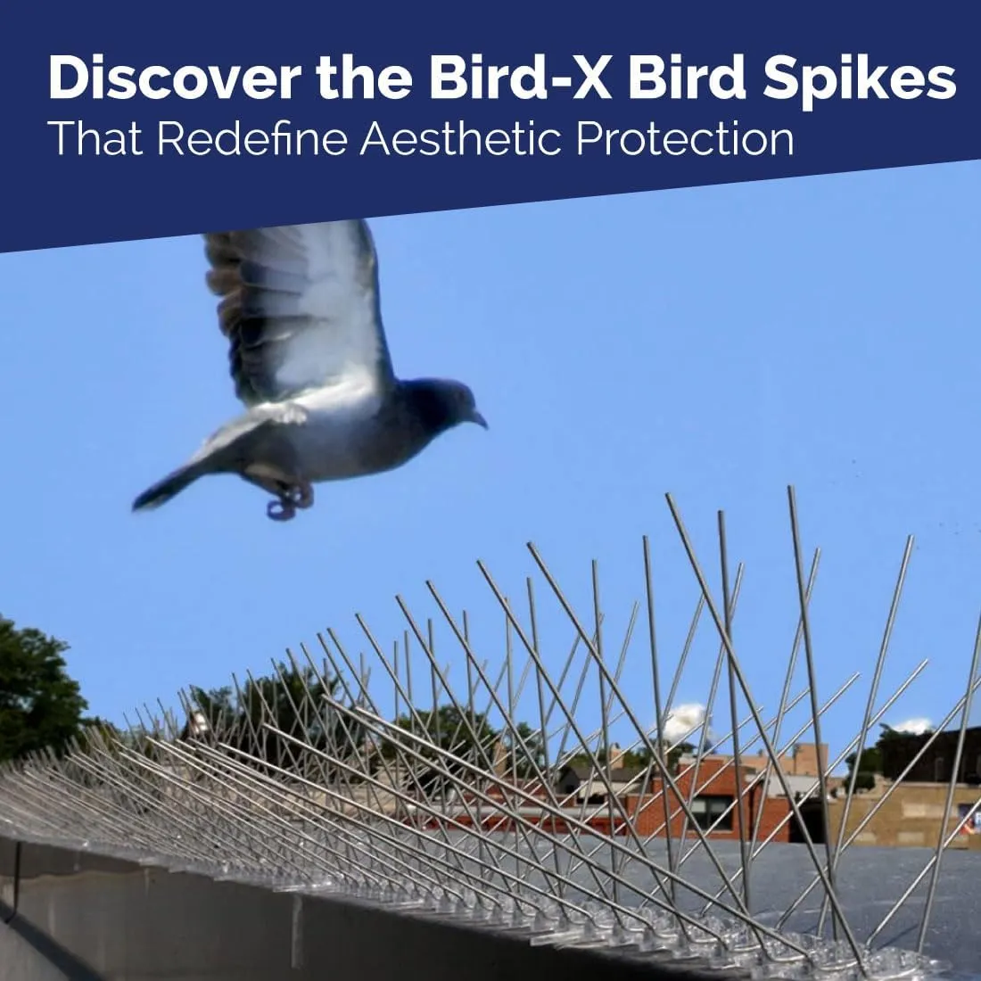 Bird-X Bird Spikes, Stainless Steel Spikes to Keep Birds Away, Easy to Install, Covers 10 Linear Feet Area, 1' L x 6" W, 10 Strips