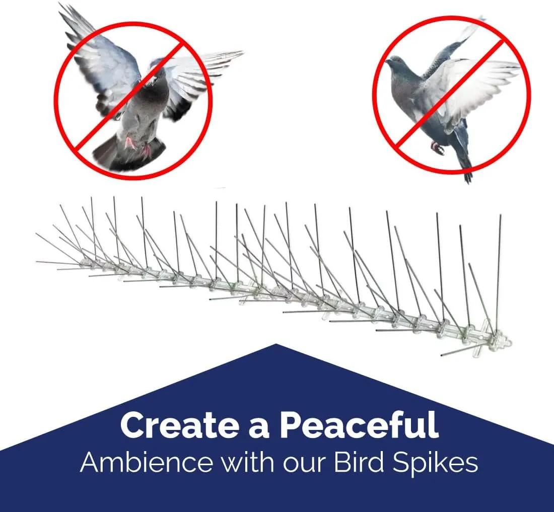 Bird-X Bird Spikes, Stainless Steel Spikes to Keep Birds Away, Easy to Install, Covers 10 Linear Feet Area, 1' L x 6" W, 10 Strips