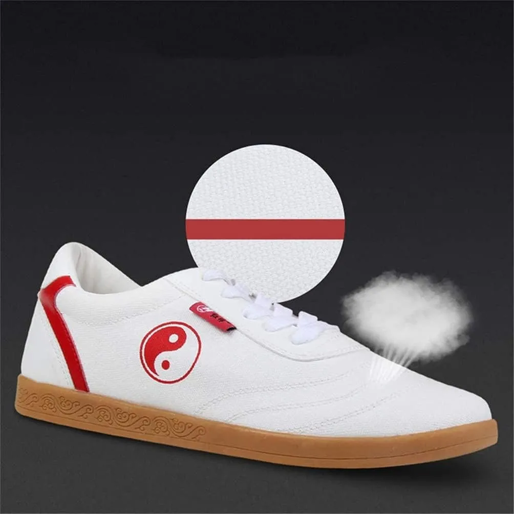 Tai Chi Kung Fu Shoes, Women's Martial Art Sneaker Chinese Traditional Qi Gong Beijing Trainer Wing Chun Slipper for Female